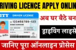 Driving Licence Apply Online